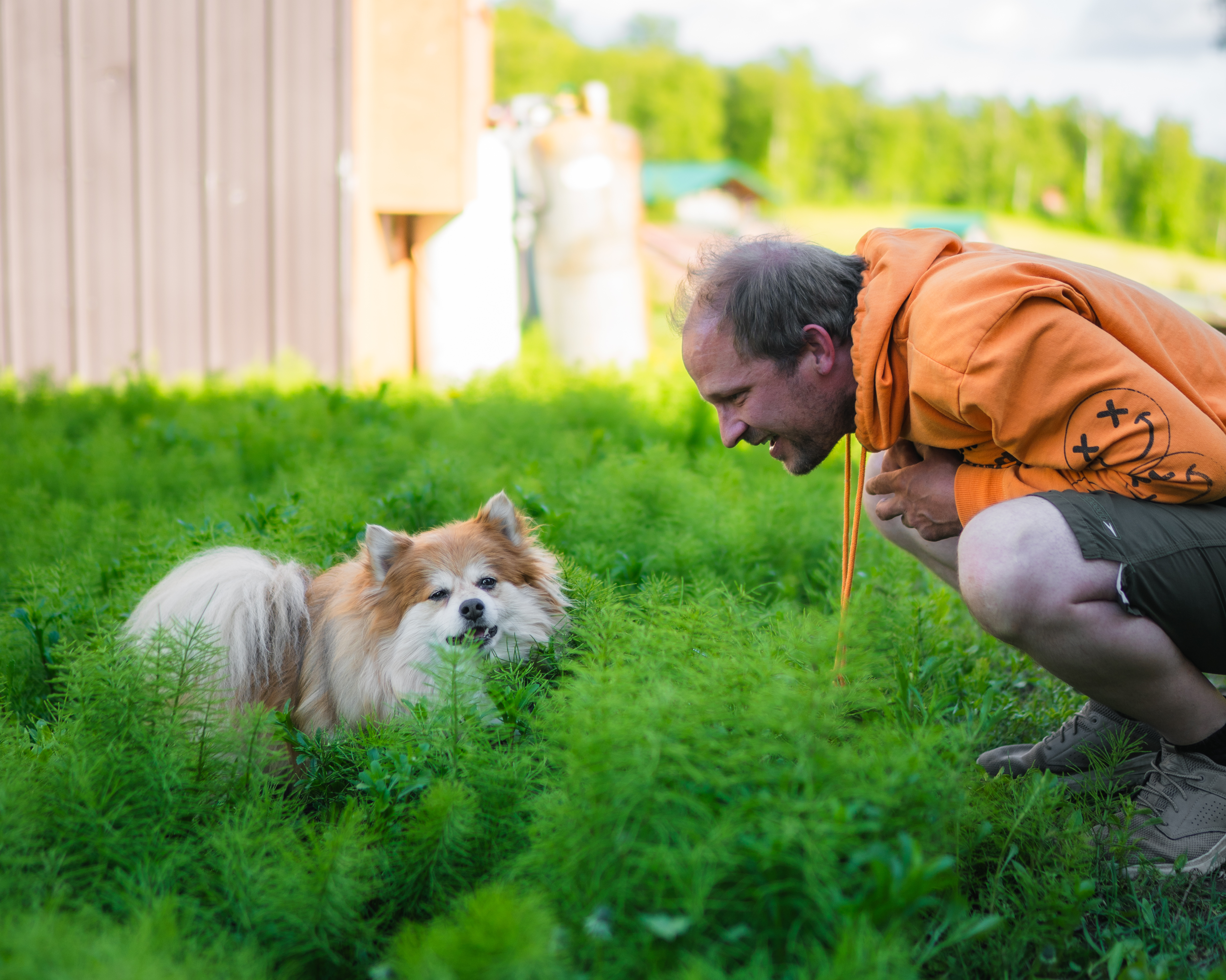 dog with owner in tall grass